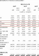 黑芝麻智能递交招股书高算力市占率约%近三年亏损亿