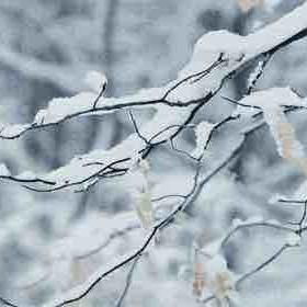 太原初雪提前降临，一场雪与城市的对话