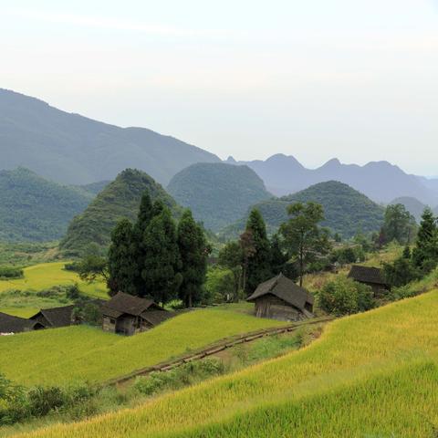 金秋与金砖，探寻一条金色发展之路