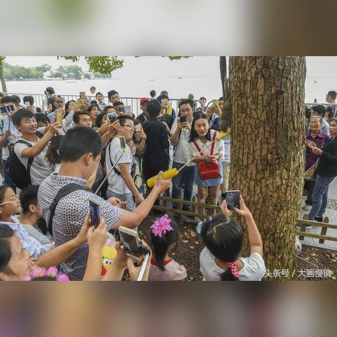 景区禁止自带食物却高价自卖，游客权益与景区管理之困