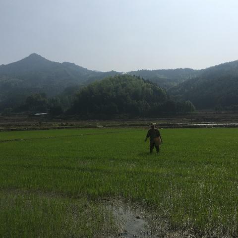 稻田跑腿小哥惊报警，收货地址疑云重重