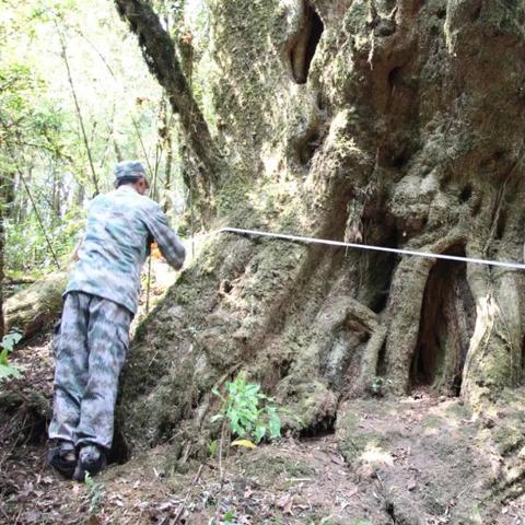 汽车爬坡技巧与角度解析，驾驶征服崎岖的智慧指南